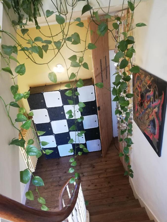 La Chambre D'Hote De Christelle Lägenhet Cherbourg-en-Cotentin Exteriör bild